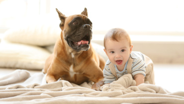 Introducing Your Rescue Dog to Young Kids: Strategies for Success