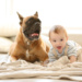 Introducing Your Rescue Dog to Young Kids: Strategies for Success