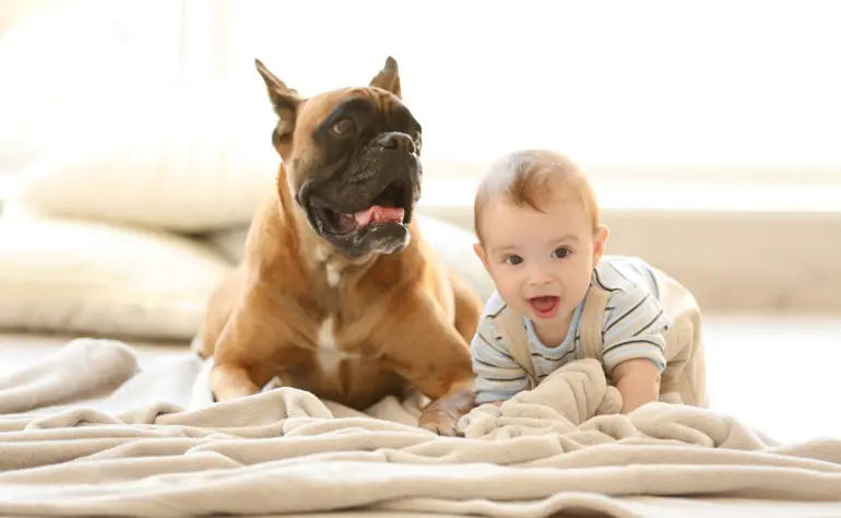 Introducing Your Rescue Dog to Young Kids: Strategies for Success